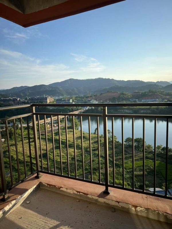 �����뵺����������