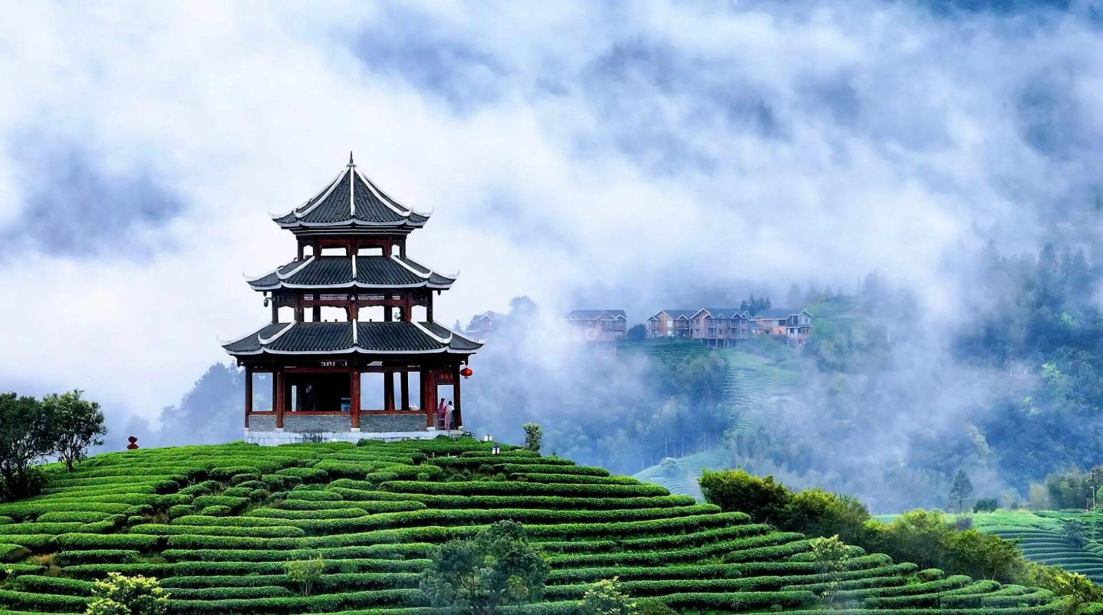 ����������ɽ����2026�괺�ڷż�֪ͨ